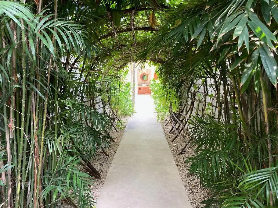☆Amazing Ph Suk Ha☆ La Veleta Apartment Tulum